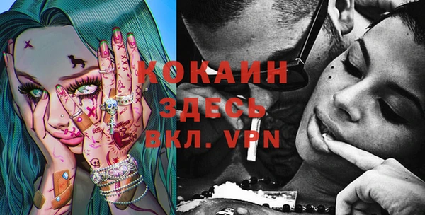 шишки Балахна