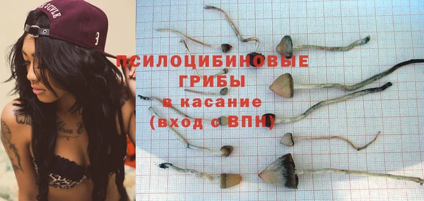 шишки Балахна