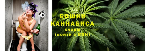 шишки Балахна