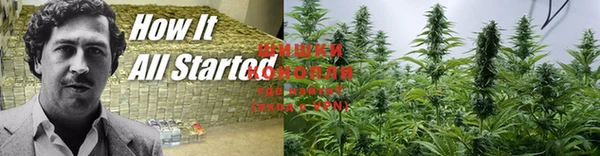 шишки Балахна